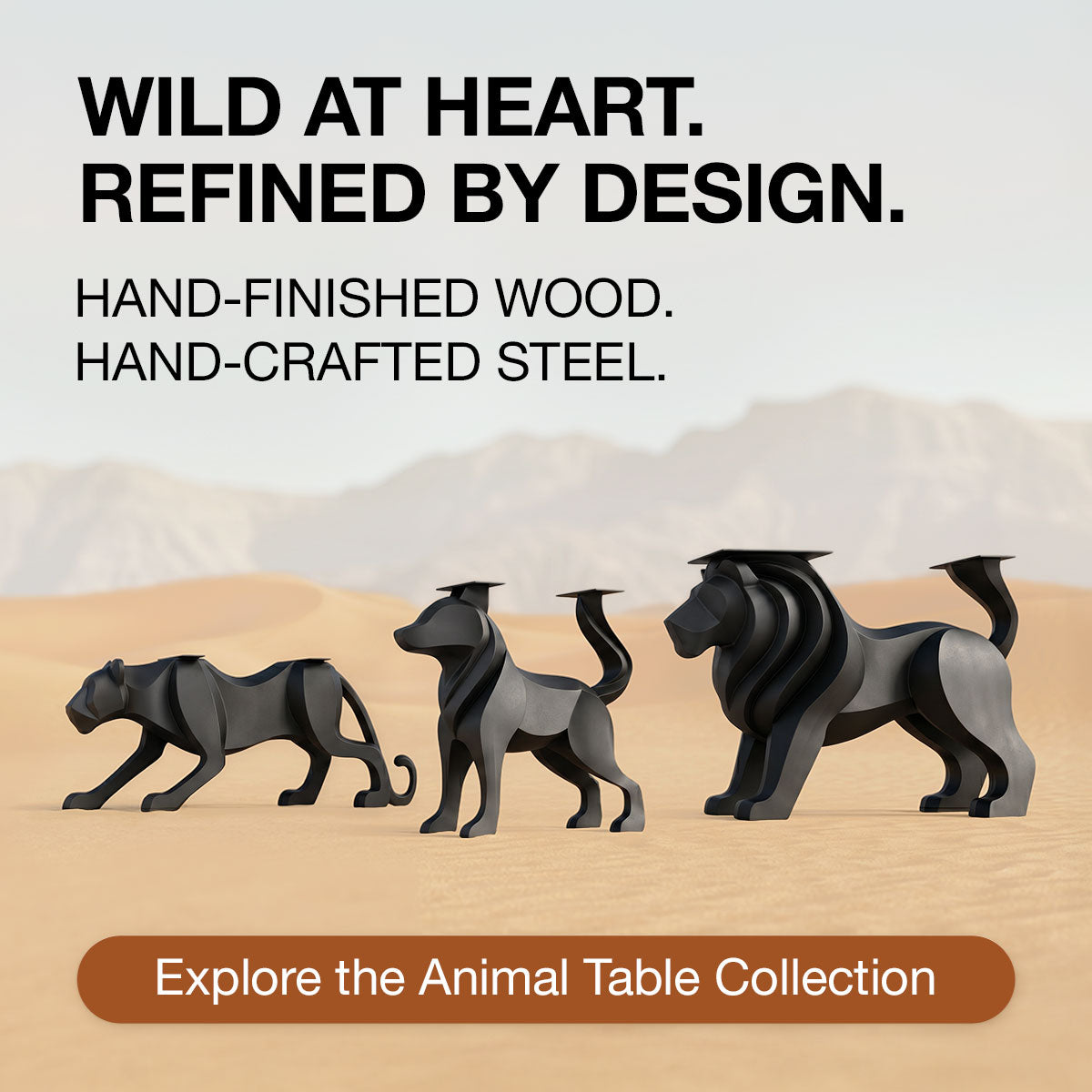 animal collection banner mb